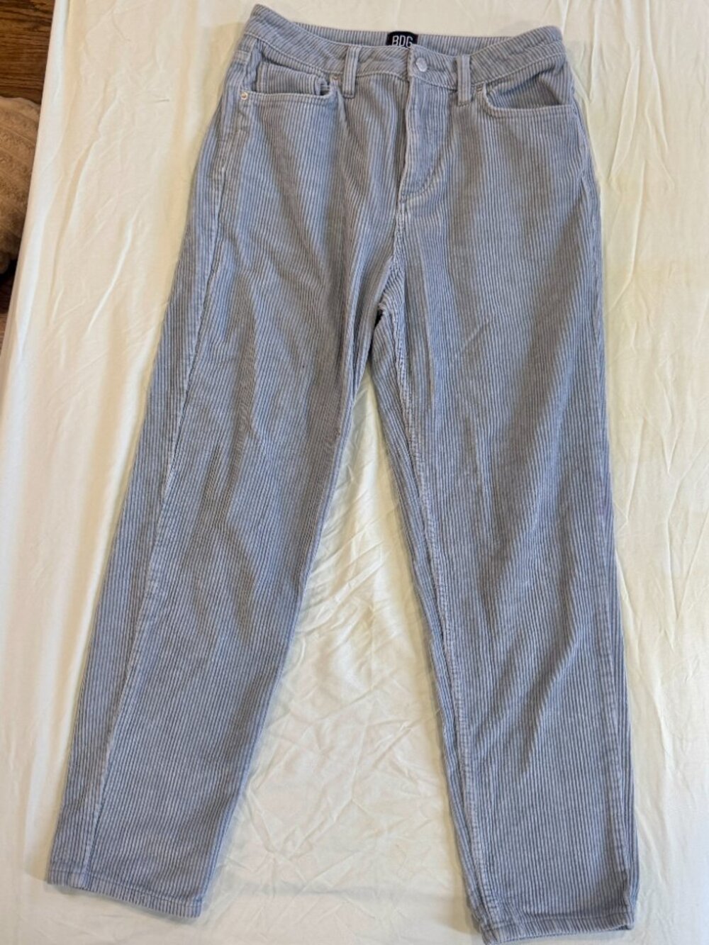 BDG Urban Outfitters Blue Corduroy Pants – Size 27